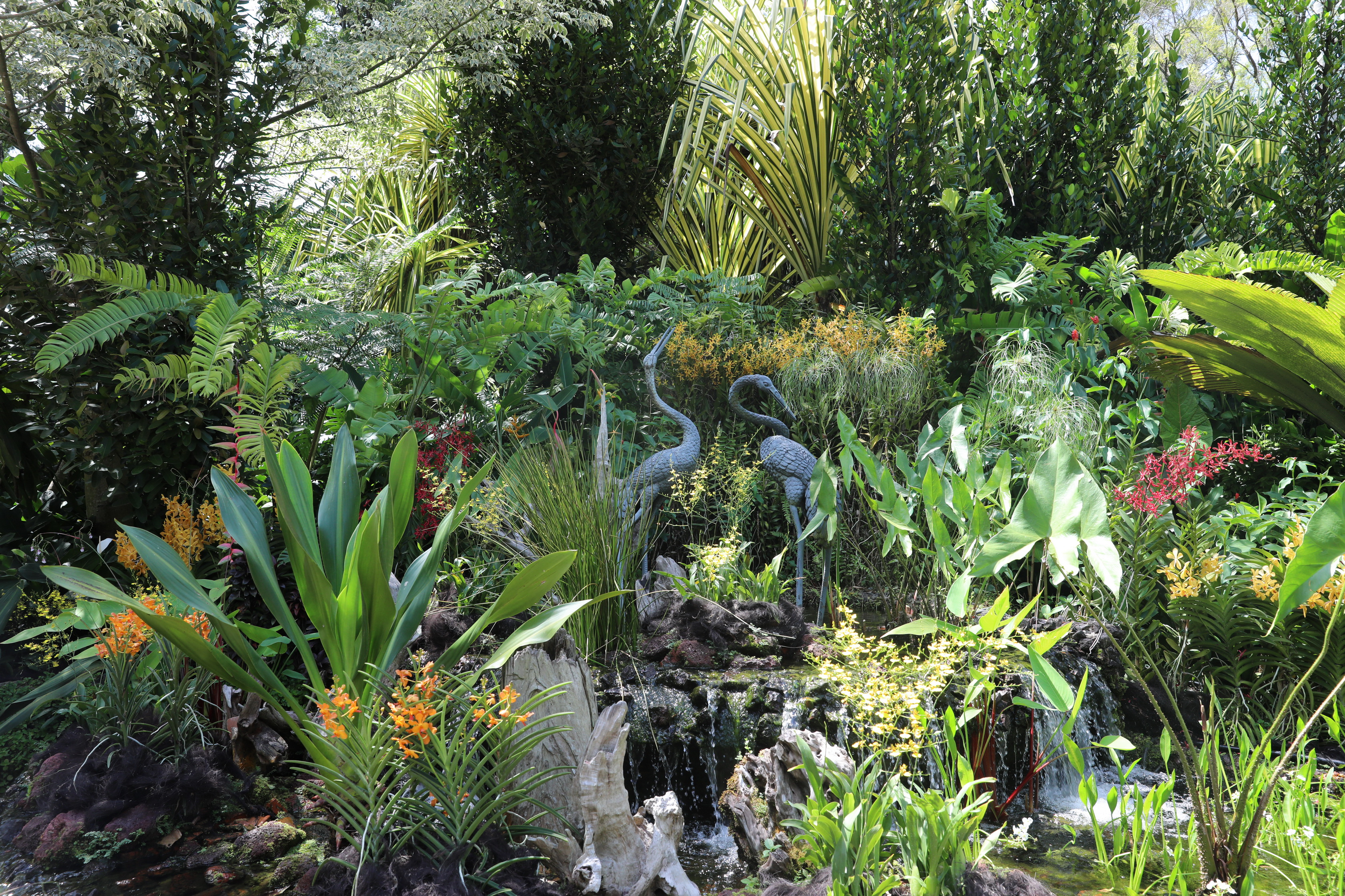 2020 02 03 14 39 33 Canon EOS 5D Mark IV 0025